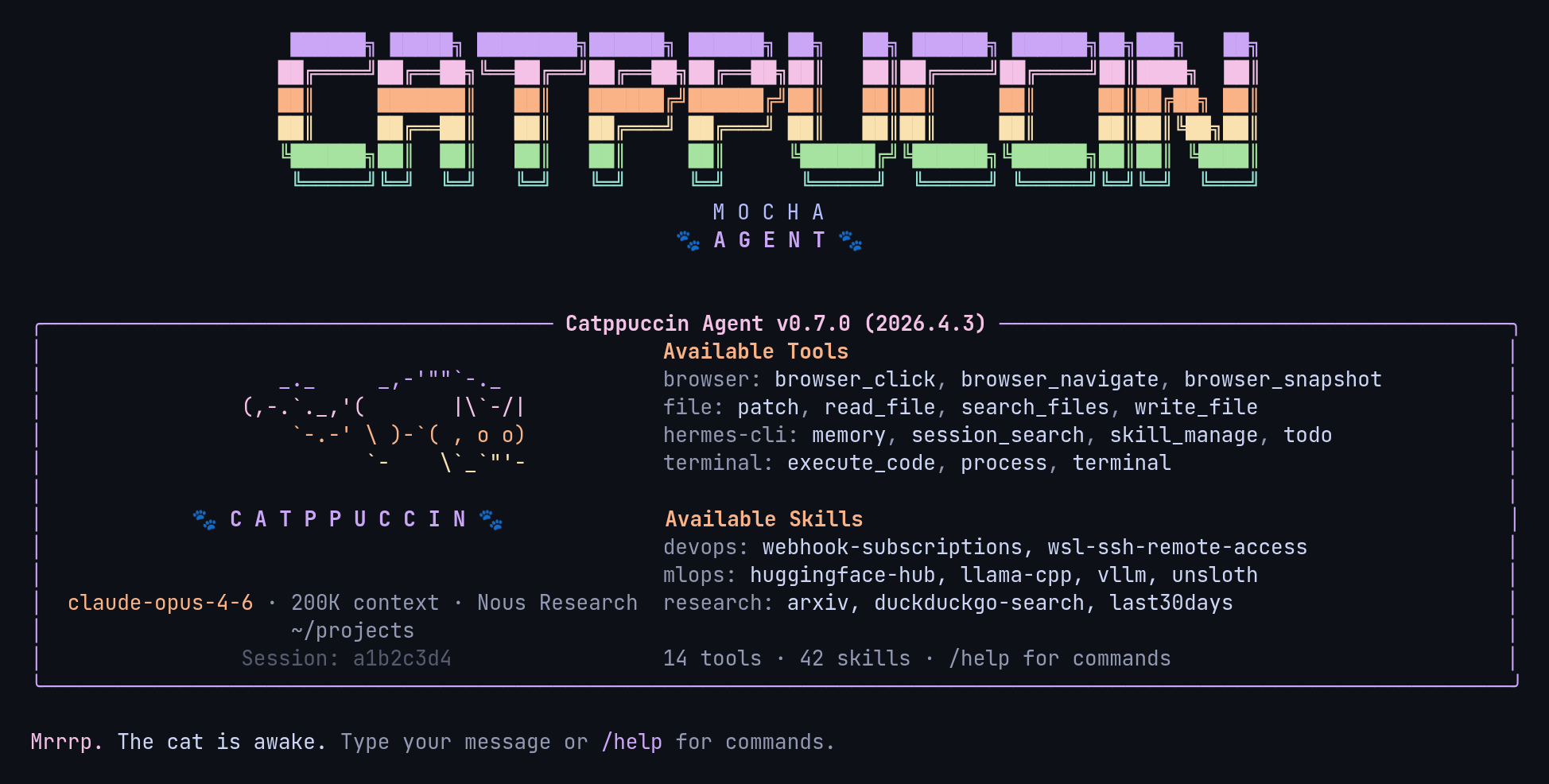 catppuccin preview